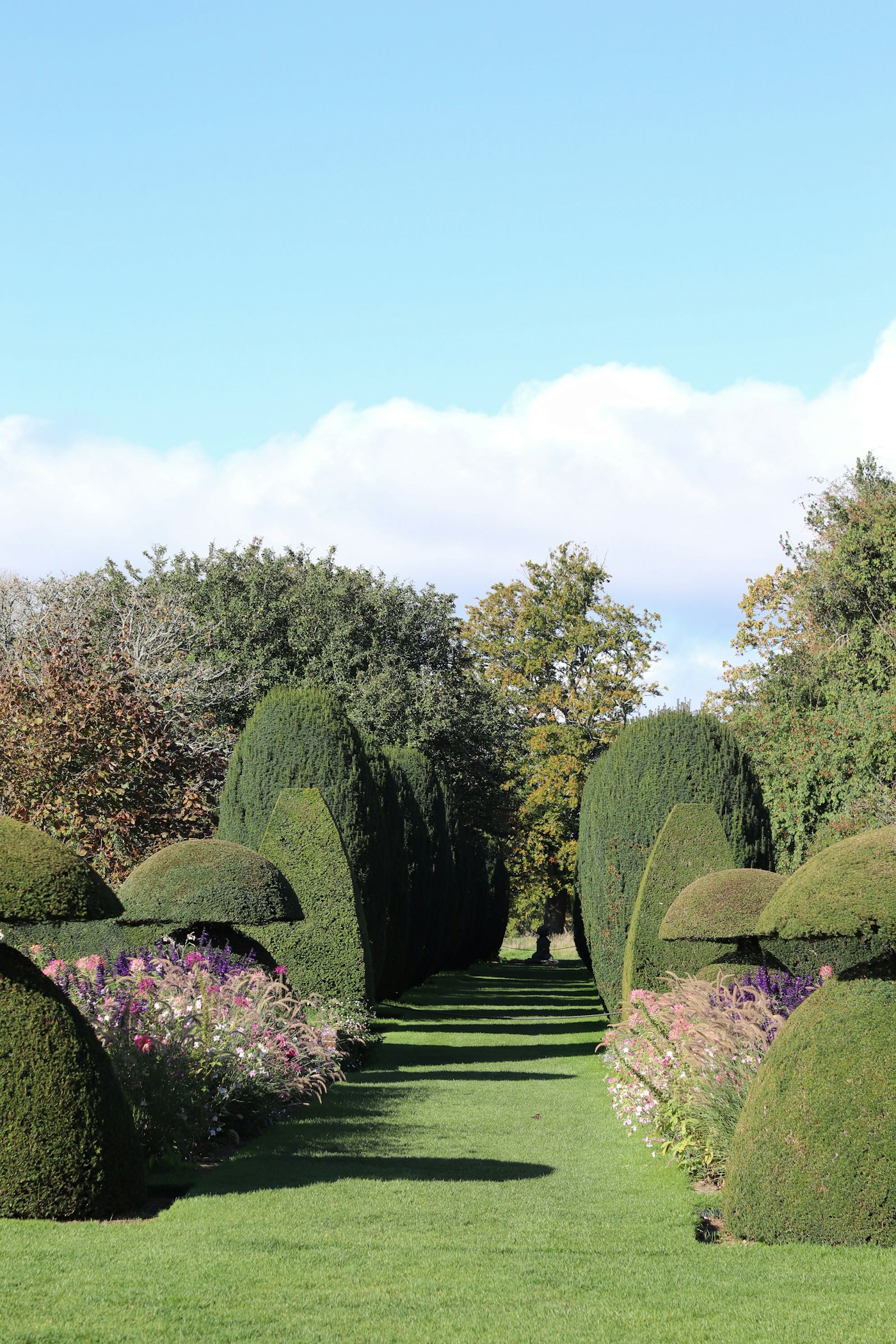 Clipped topiary and architectural planting